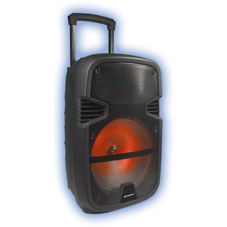 Boxa Portabila VORTEX VO2619